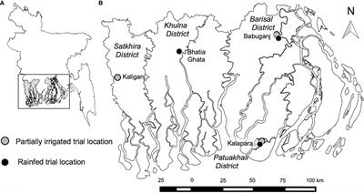 Adapted Conservation Agriculture Practices Can Increase Energy Productivity and Lower Yield-Scaled Greenhouse Gas Emissions in Coastal Bangladesh